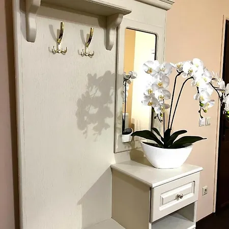 New Continent Bushtyno