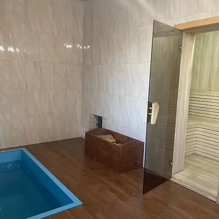 New Continent Bushtyno