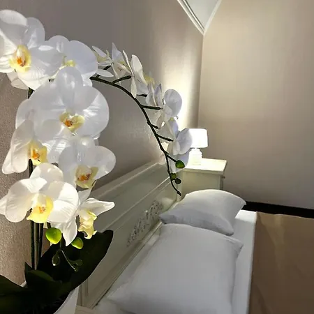New Continent Otel